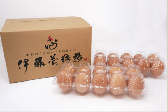 【関東限定】たまごころ(赤玉鶏卵) たまごころプレミアム