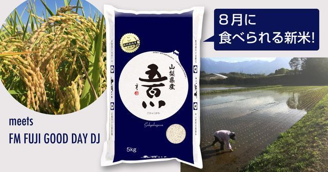 水田環境「特A」 こぴっと 特別栽培米 山梨県産 五百川