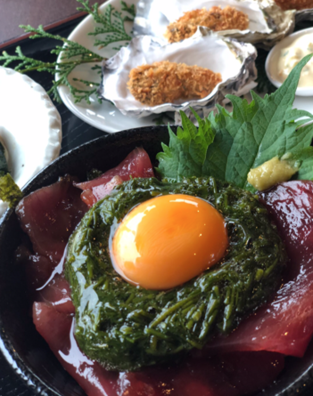 伊勢志摩の海藻 アカモク